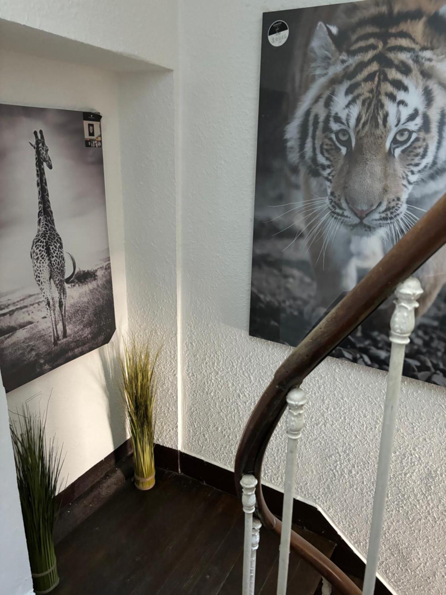 상테뇽 Le Duplex Safari 아파트 외부 사진